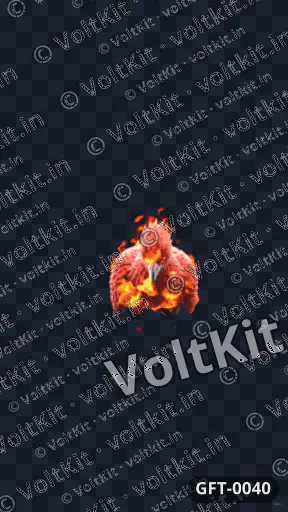 Phoenix animation on black backg, an animated 3D gift (watermarked preview)