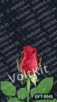 Roses blooming animation, an animated 3D gift (watermarked preview)